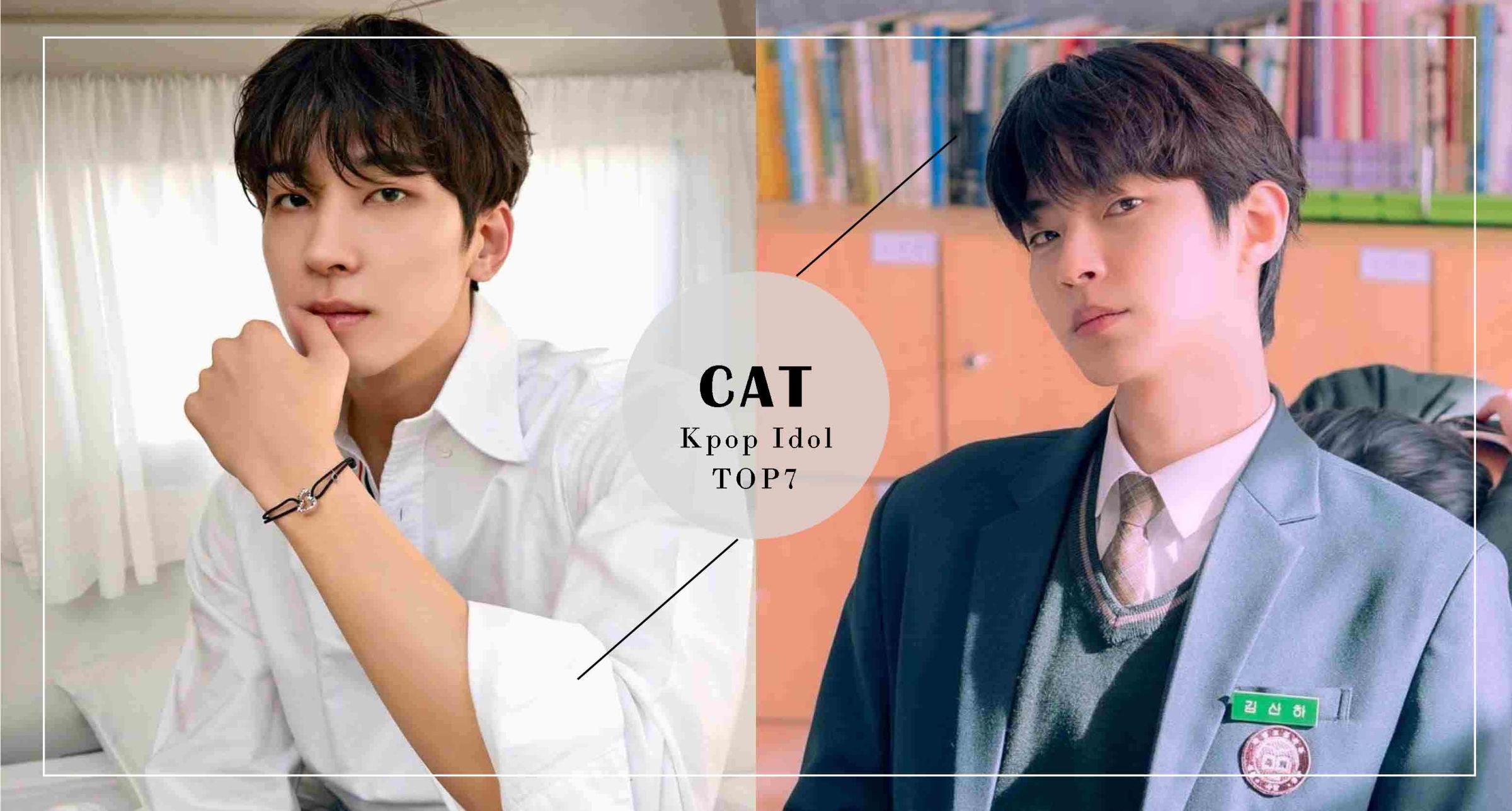 好想收編！盤點7位「貓咪相」韓國男星，黃寅燁、宋江、SEVENTEEN圓佑自帶慵懶勾人氣息！