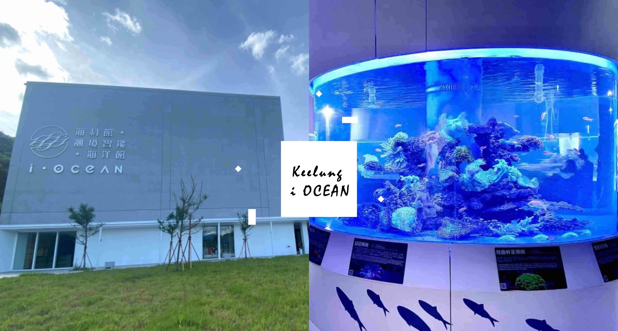 基隆新景點「潮境智能海洋館 i OCEAN」絕美落地窗遠眺山景、360度零死角挑高水族箱讓你和魚群親密接觸！