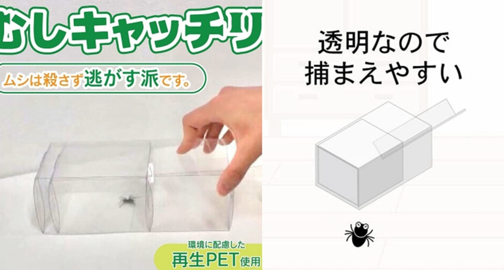 怕蟲人の救星！日本「抓蟑螂神器」誕生！免丟拖鞋、免爆汁根本人人家中必備～