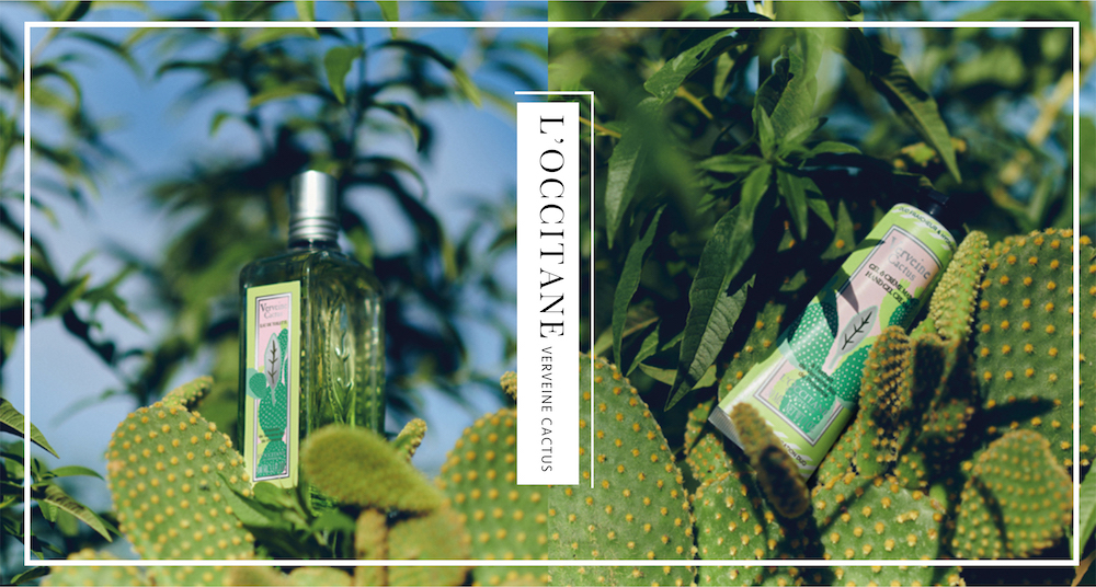 多肉迷必收♡L’OCCITANE全新「仙人掌馬鞭草限量系列」包裝療癒炸，真的太欠買！