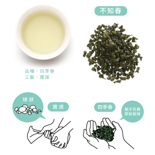  不知春