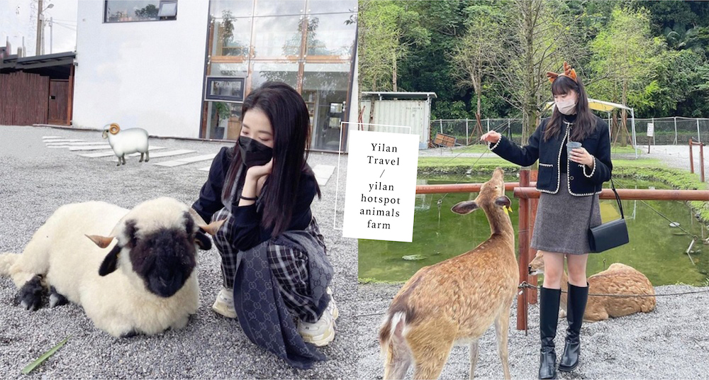 宜蘭3大必去「動物農場」推薦！近距離餵食超可愛笑笑羊、水豚君、梅花鹿♡「這裡」還可以跟羊駝一起用餐！
