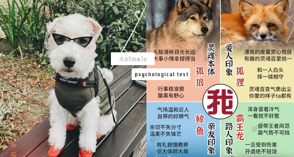 陸網爆紅心理測驗！4題測出專屬「動物性格分佈圖」！看看你靈魂本體＆內心住著哪些動物？