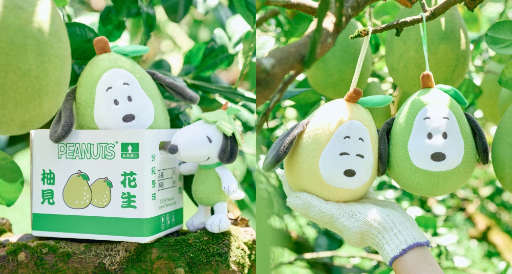 史上最可愛文旦！威秀影城最新限定「柚子史努比」周邊！1:1老欉文旦娃娃、頭戴柚子帽玩偶可愛瘋！這天起限量開賣！