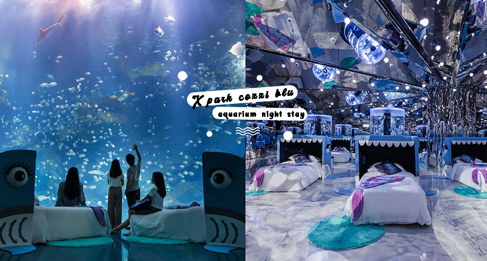夜宿水族館不是夢！和逸飯店攜手X park打造夢幻「頂級海洋系夜宿」！看著湛藍海洋與魚群入眠太幸福♡