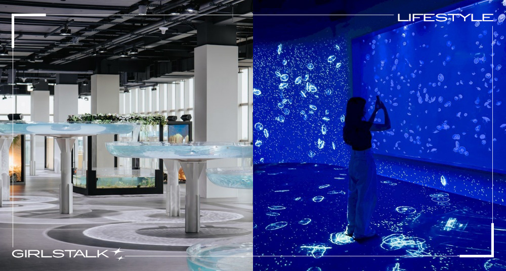 夢幻海底世界「台中海洋館」開幕！全台首座室內人工溼地、最大水母展區等8大空間一次看！試營運8折優惠！