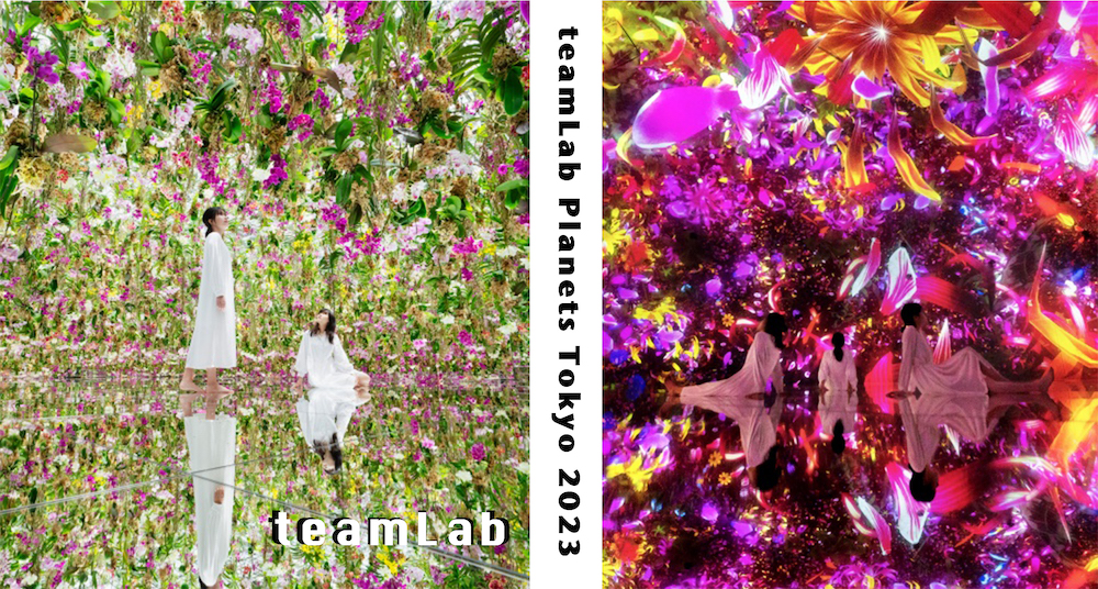 【2023東京景點】東京豐洲 teamLab Planets TOKYO必拍8大展區一次看！絕美漂浮空中花園、在水中欣賞藝術品！