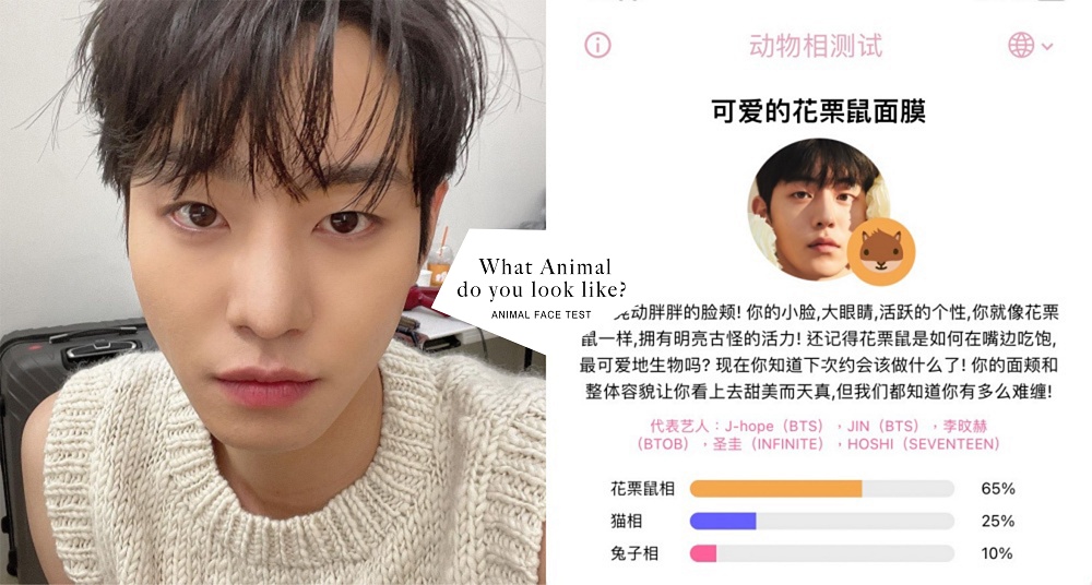 韓網爆紅App！一秒檢測出你是什麼動物相？南柱赫是花栗鼠相、安孝燮是貓相！