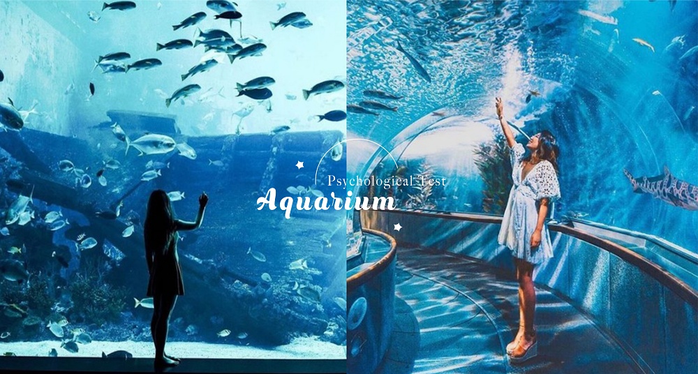 日本心理測驗！從水族館最想見的海洋生物，測出你對愛情的個性與渴望！