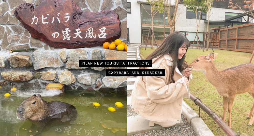 水豚君泡湯超療癒！宜蘭「張美阿嬤農場」與水豚、梅花鹿近距離接觸，還能體驗日本和服！