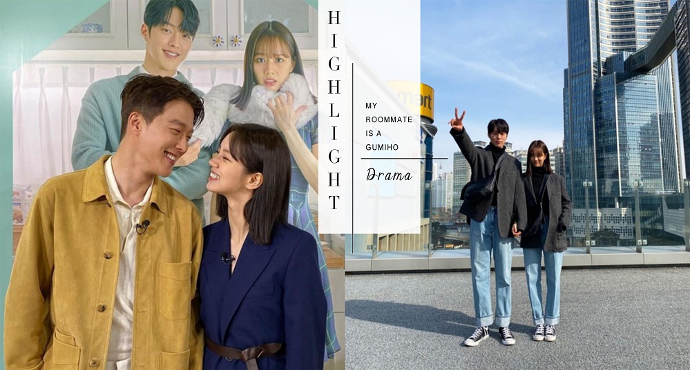 六月必追！熱播韓劇《我的室友是九尾狐》 5大看點整理：張基龍、惠利滿滿的CP感根本甜爆～