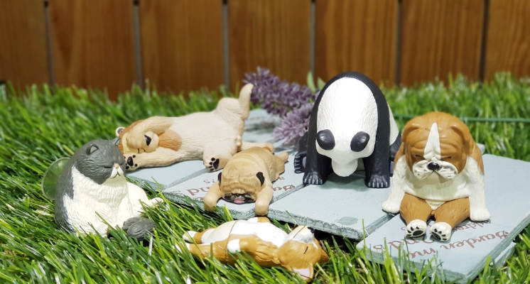 扭蛋控還不快手刀累積全家點數？12款「休眠動物園」扭蛋等你收集 還有限量17公分的存錢筒喔！