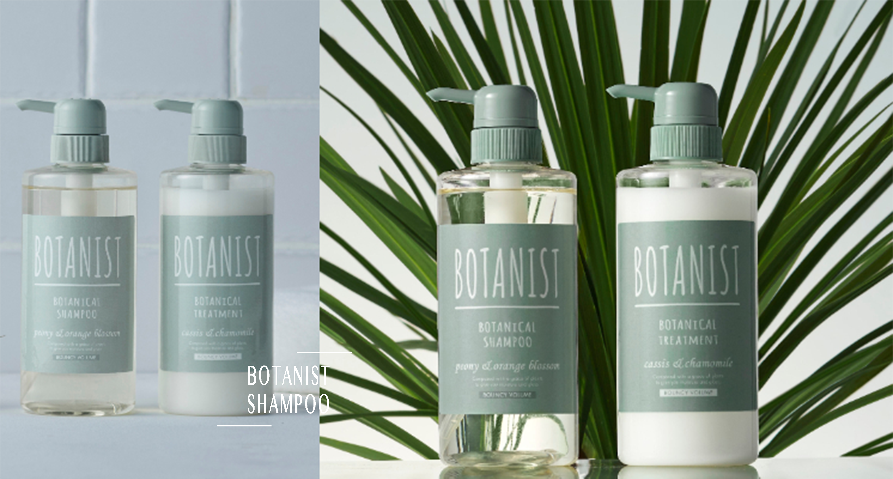 SOS梅雨季的毛躁髮有救了！網美系洗髮精品牌「BOTANIST」推出第六款新品「植物性彈潤蓬鬆洗護系列」♡