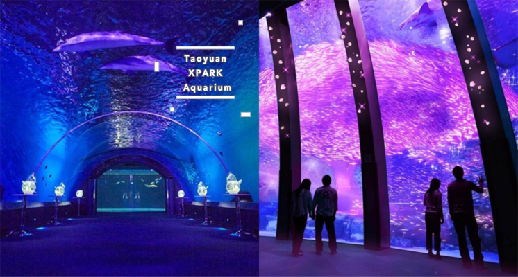 預購日期公開！全台最夢幻「Xpark水族館」8月7日開幕，180度環景海底世界超壯觀！