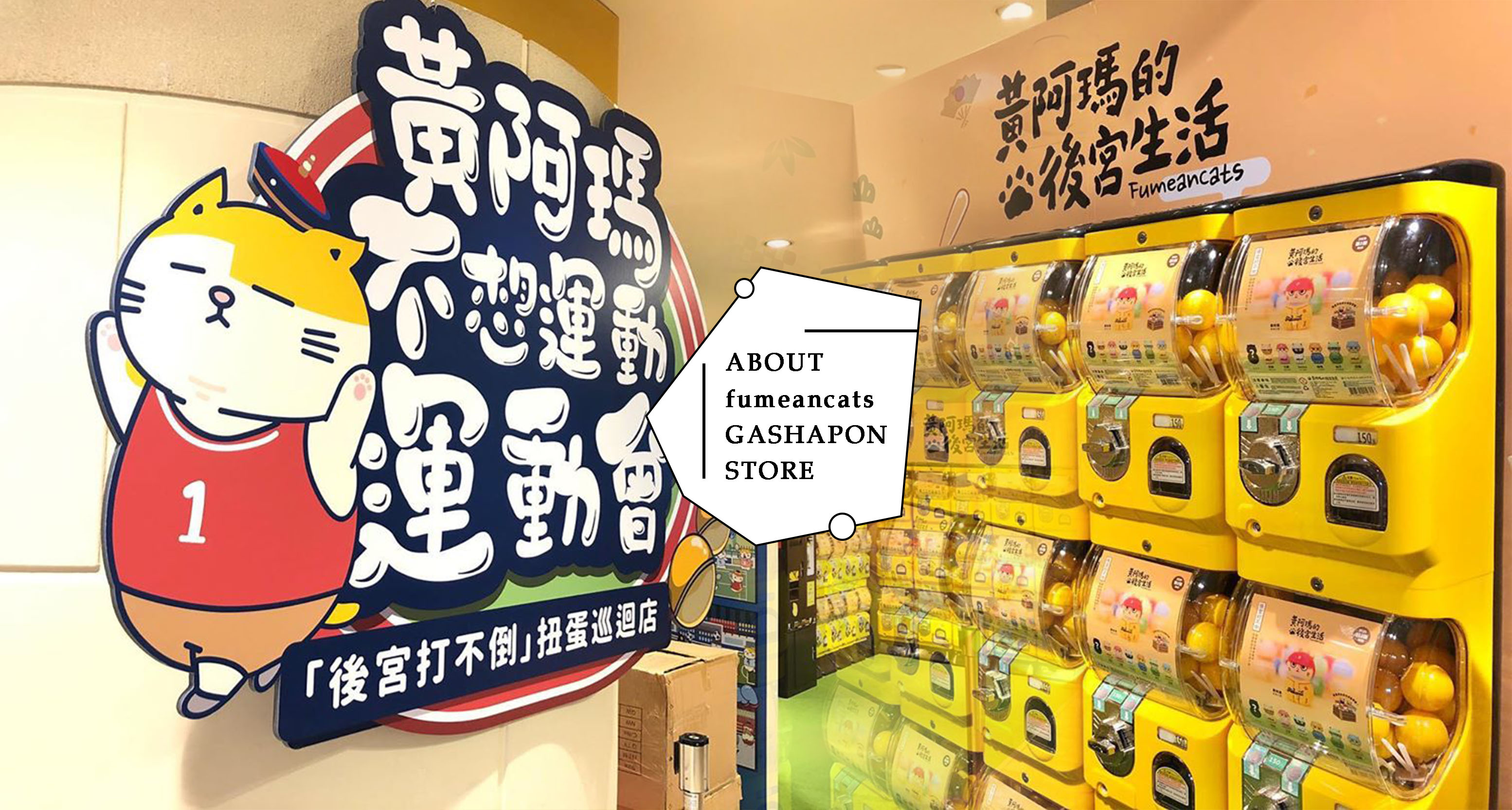 「黃阿瑪不想運動運動會」巡迴快閃店首站台北場開跑！後宮貓咪化身「棒球員大型公仔」、「後宮打不倒扭蛋」每個都想帶回家♡