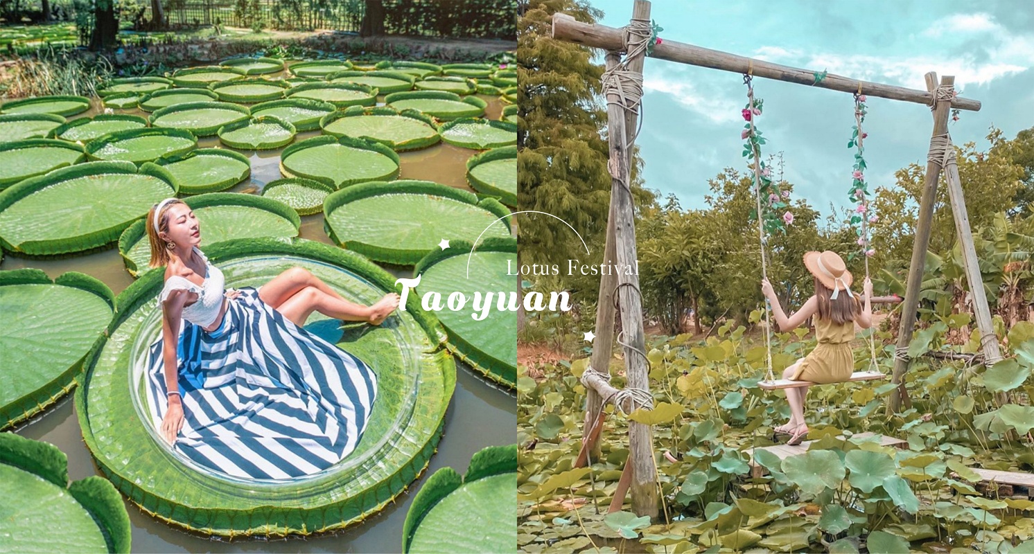 花仙子看這邊！2020桃園蓮花季「超大大王蓮、繽紛雨傘廊道、夢幻仙女鞦韆」怎樣都好拍