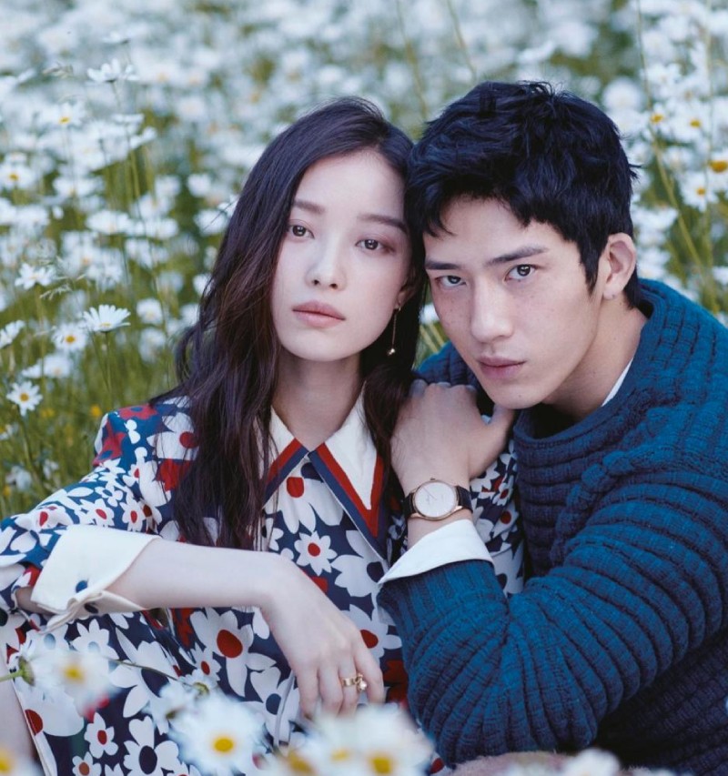 早春晴朗 井柏然 倪妮